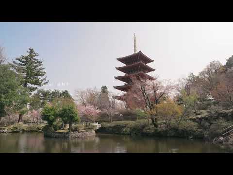 宮津 成相寺