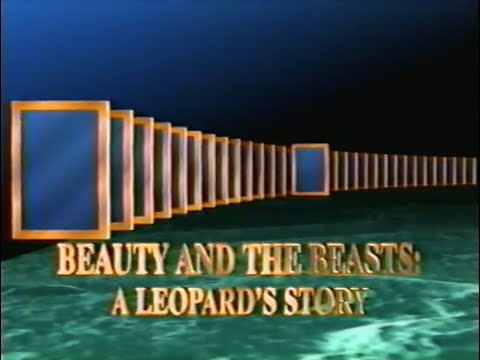 National Geographic: Beauty and the Beasts: A Leopard's Story (1995)