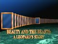 National Geographic Beauty And The Beasts A Leopard S Story 1995