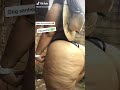 Joelinesousa997 Tiktok 1