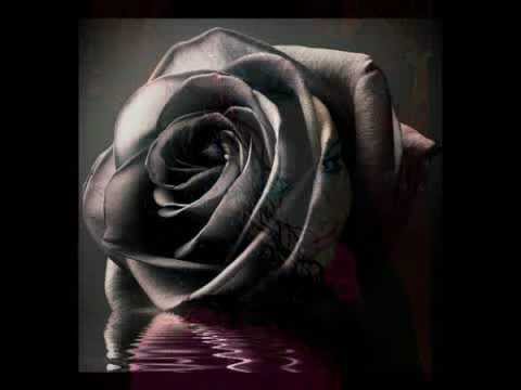 Nimm mir mein Leben Nicht ~~ Jessica Weiß (AUF MEHRFACHEN WUNSCH JETZT DAS GANZE LIED)