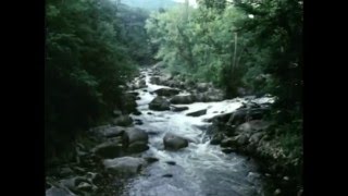 Classic Sesame Street - &quot;Who Am I?&quot; HQ