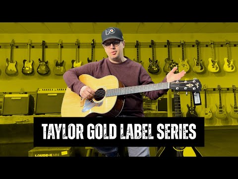 Taylor Just Changed Everything… Meet the Gold Label Guitars | Tone Tailors Guitar Shop in Lancaster