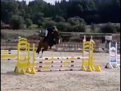 Turnierimpressionen: Dilaro v. Dinken