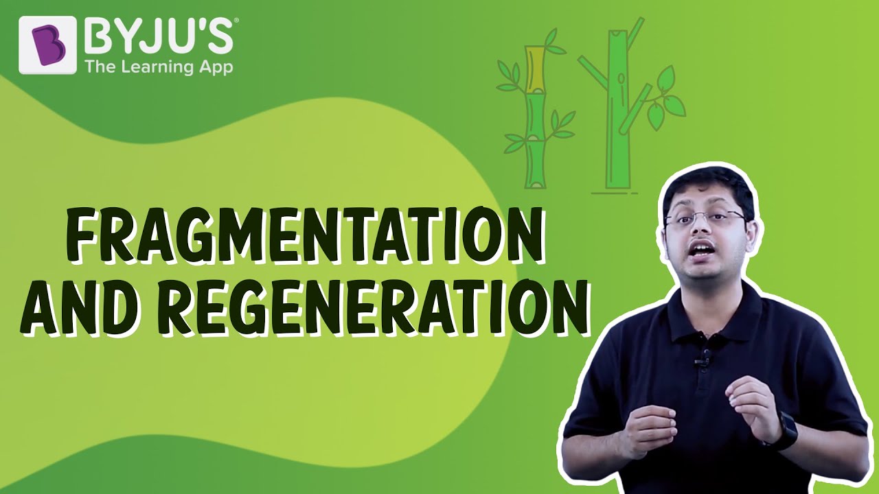 Fragmentation And Regeneration | Class 7 | Learn With BYJU'S
