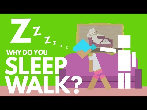你為什麼要夢遊？ (Why Do You Sleepwalk?)