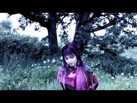 Raw Frequency & NLJ (ft. Veela) - Never Fall Far (Music Video)