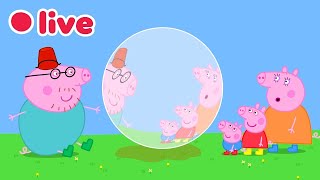 🔴 Peppa Pig AO VIVO! 🐷 Episódios Completos ✨ Desenhos para Crianças | Peppa Pig em Português Brasil