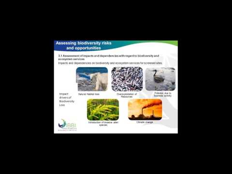 Reporting on IBBI 10 Point Declaration