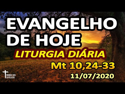 EVANGELHO DE HOJE: Homilia Diária e Reflexão da LITURGIA DIARIA (11/07)