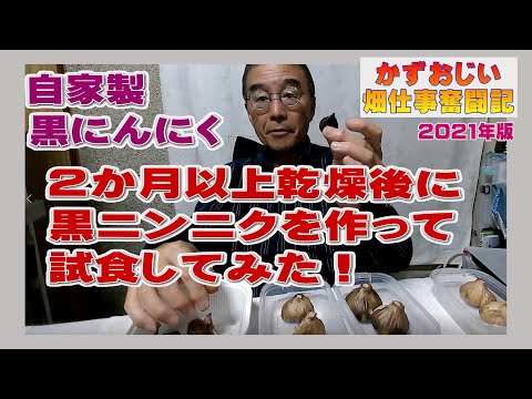 黒にんにく:発酵はこうなる 植物