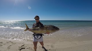 Fishing surfers paradise beach