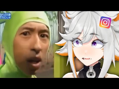 Memes that Made Deme Question her Feed