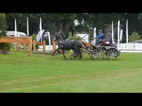 ZWIERS Jörg, GER, CAI 3# Beekbergen, HORSE PAIR, Marathon Ob 6, 05 08 2017