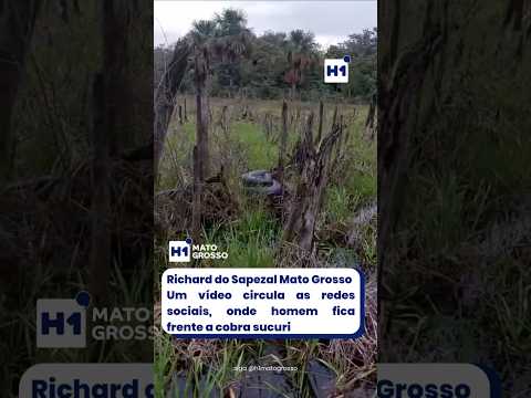 Richard do Sapezal Mato Grosso fica de frente com cobram Sucuri