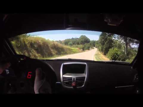 CameraCar Rally del Tartufo 2013 Cantamessa - Bollito Peugeot 207 S 2000 1° Assoluti