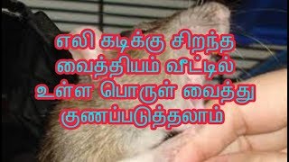 Home remedies to fast cure rat bite | tamil 100% nature