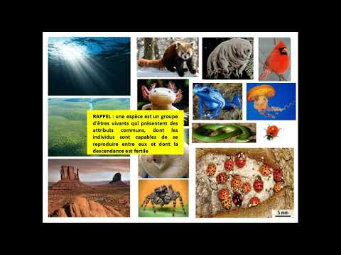 SVT 2nde | THÈME 1 | 3-1 définir et décrire la biodiversité (1/4)