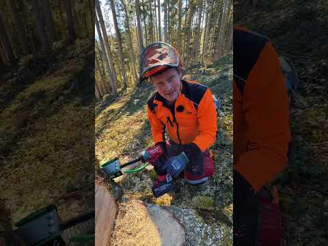 Dos and Don'ts bei Fällkeilen - BaSt-Ing Praxistipps