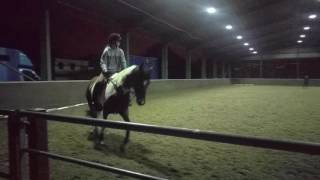 Emily and Fred Dressage Lesson (Vid 6)