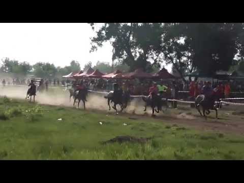 Akhir Kuda PADI A - 01 Ogos 2015 @Padang Airport