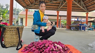 Young single mother harvests sweet potatoes to sell. Buy pig food | Mụi muội - My life