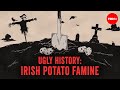 What Really Caused The Irish Potato Famine Stephanie Honchell Smith