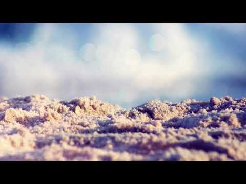 El Rumbero - Chica Ven