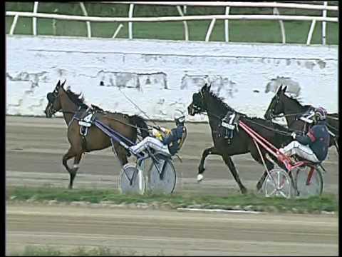 Trotto 07/02/2016 - 1° corsa