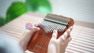 Sonodrum Kalimba / Sonolimba - Afrikanisches Korallenholz