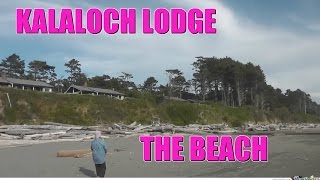 preview picture of video 'Kalaloch Lodge Beach'