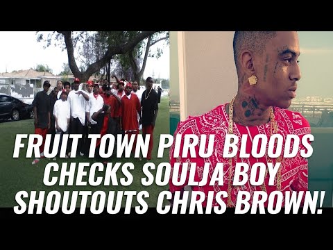 Fruit Town Piru Bloods CHECKS Soulja Boy SHOUTOUTS Chris Brown! #gangwar #piru #fyp #souljaboy 