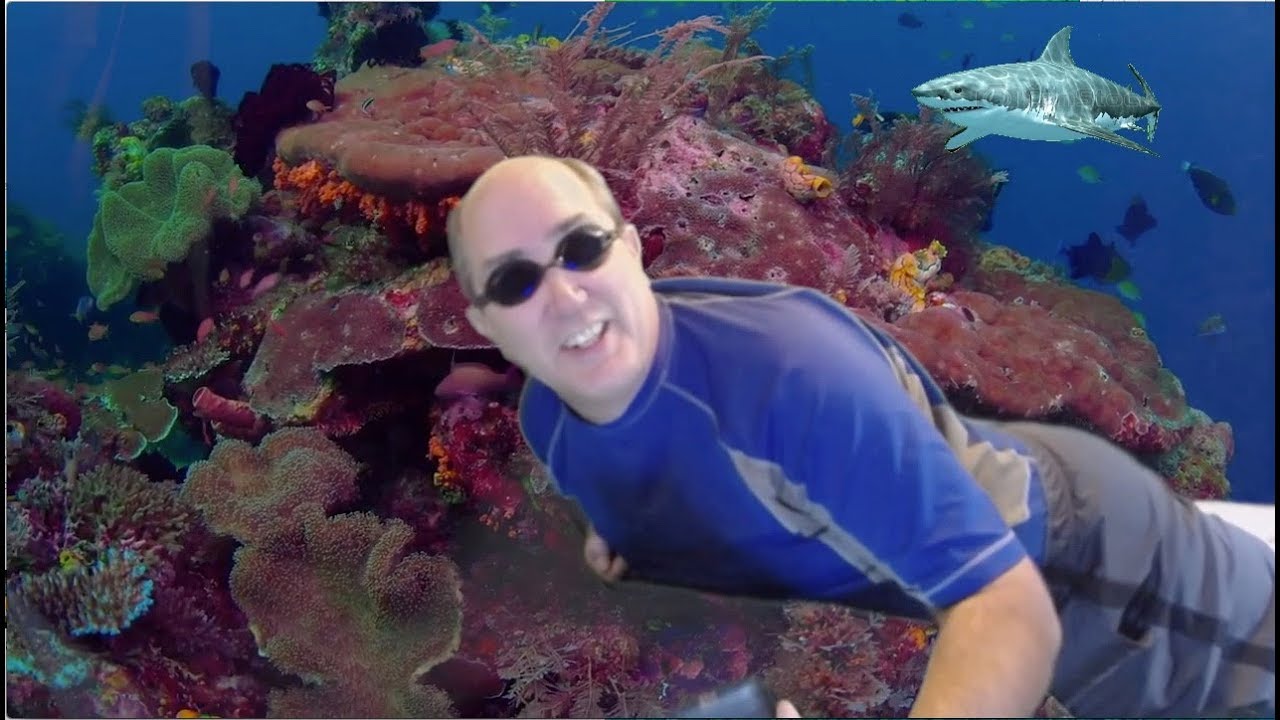 Cisco Hyperflex with Cohesity