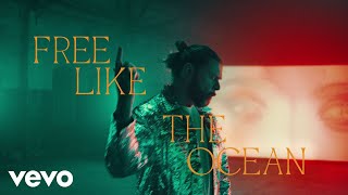 Musik-Video-Miniaturansicht zu Free Like The Ocean Songtext von Rea Garvey