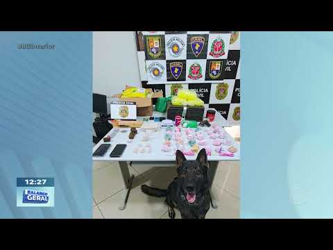 Espírito Santo do Turvo: BAEP prendeu quatro por tráfico de drogas