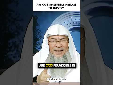 Is Keeping Cats as Pets Permissible in Islam? | Exploring Islamic Views | The House Of Shariah