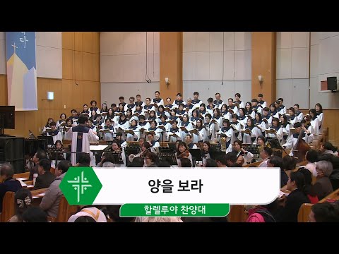 [25.03.16] 할렐루야 찬양대 - 양을 보라 대표이미지