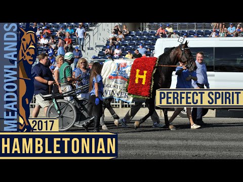 2017 Hambletonian Final - Perfect Spirit