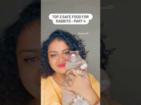 Top safe food for Rabbits - Part 4 #rabbitcare #rabbitcaretips #rabbitdiet #petrabbit #healthyrabbit