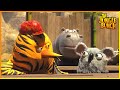 21 Jungle Street 100 Compilation Cartoon For Kids