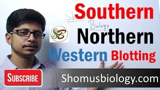 Southern Blot Method - Animation video | Pearson+ Channels Southern Blot Method - Animation video | Pearson+ Channels