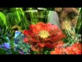 Keiko Matsui Flowers of the sea 