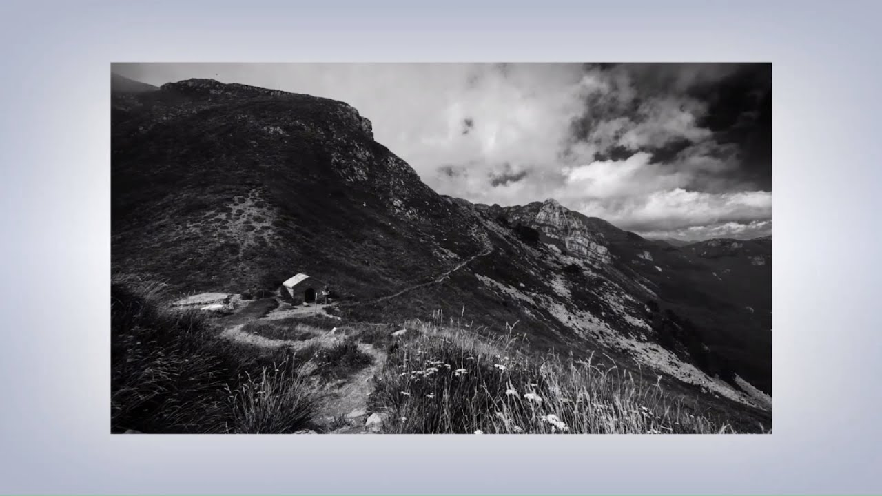 Noir et Blanc Contrasté