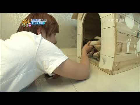Sunggyu and doggies