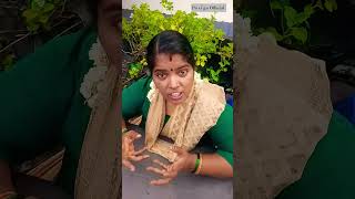 Download lagu ஆடி மாதம் பரிதாபங்கள்🤣🤪😜#trending #couple #husbandandwifealaparai#whatsappstatus #shortsfeed mp3