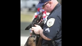 Lightning Struck and Killed a K9 Officer