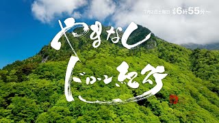 やまなしドローン紀行 #53 山梨の新緑 vol.1 - 西沢渓谷