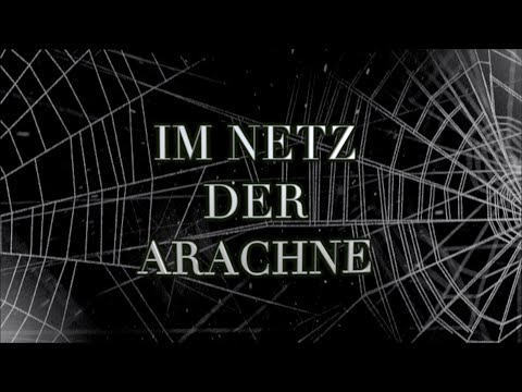 𝐌𝐫 𝐌𝐜 𝐅 - 𝐈𝐦 𝐍𝐞𝐭𝐳 𝐝𝐞𝐫 𝐀𝐫𝐚𝐜𝐡𝐧𝐞