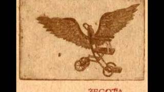 Zegota - Struck by the Wild