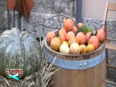 COMUNE DI INTRODACQUA